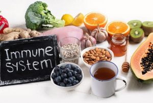 immune_system