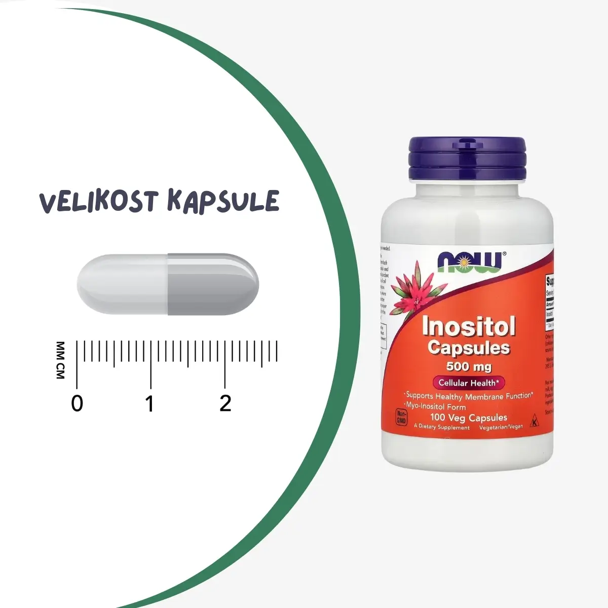 Mio-inozitol za celično ravnovesje in presnovo